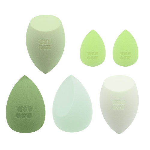 Set 6 Esponjas Multifunción