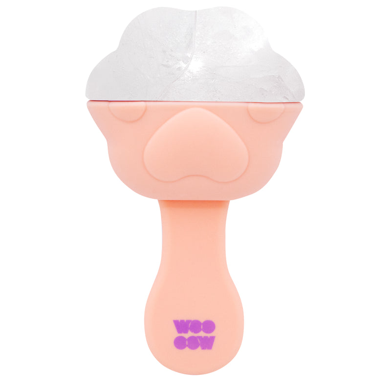 Paw Ice Stick