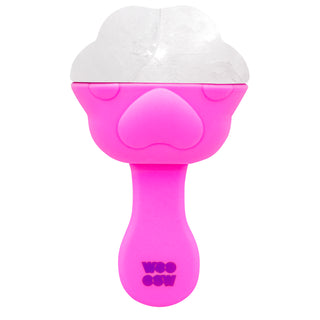 Paw Ice Stick