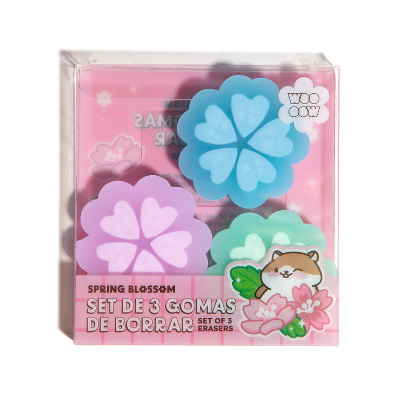 Set 3 Gomas de Borrar Spring Blossom