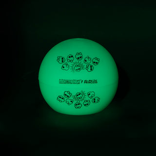 MONSTER HIGH™ / YOU ARE THE PRINCESS GLOW IN THE DARK ICE BALL