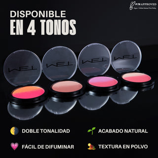 The Game Changer Ombré Blush Colorete