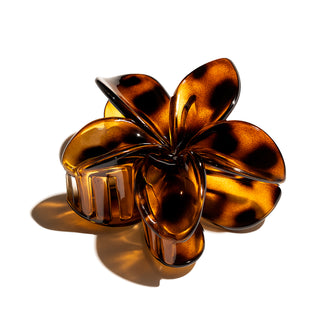 Oh My Hair Pinza Flor Carey