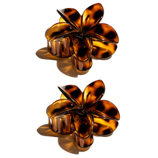 Oh My Hair Set 2 Pinzas Carey Flores