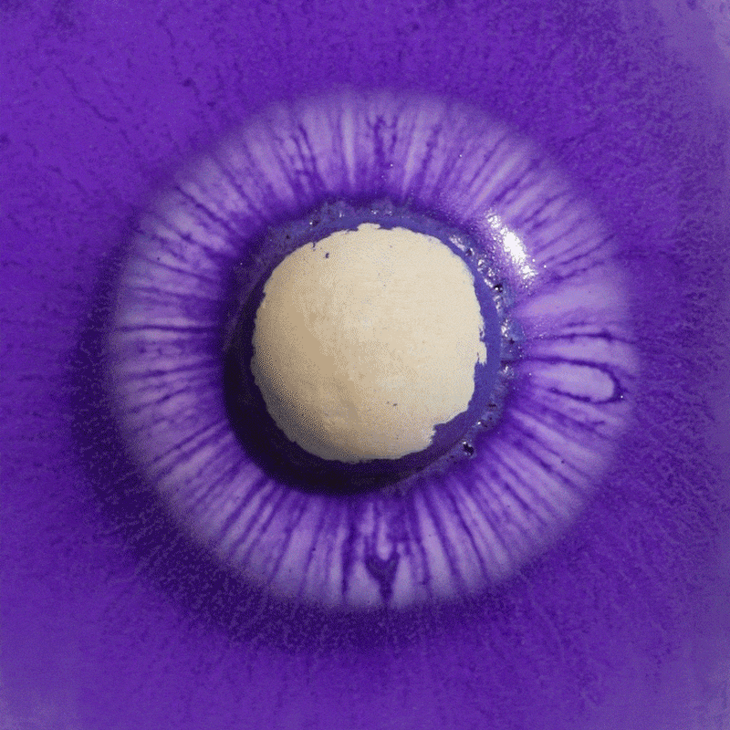 We Splash Sweet Glory Bomb Bomba de Baño