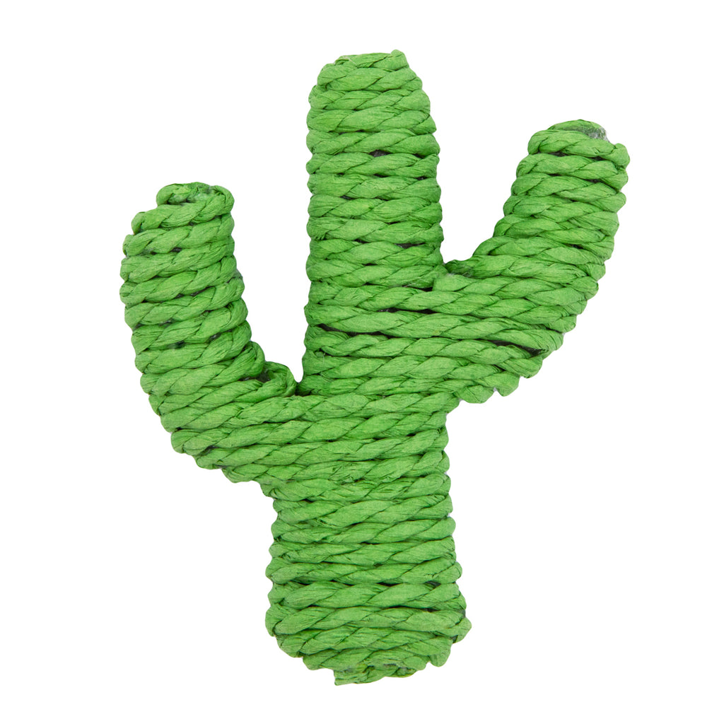 Juguete Cactus de Cuerda de Papel